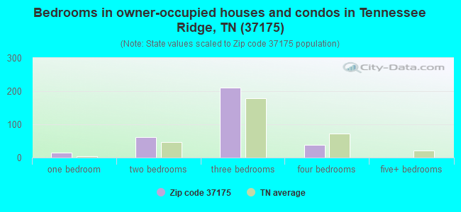 Bedrooms in owner-occupied houses and condos in Tennessee Ridge, TN (37175) 