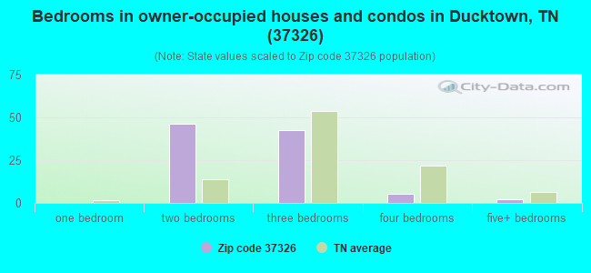 Bedrooms in owner-occupied houses and condos in Ducktown, TN (37326) 