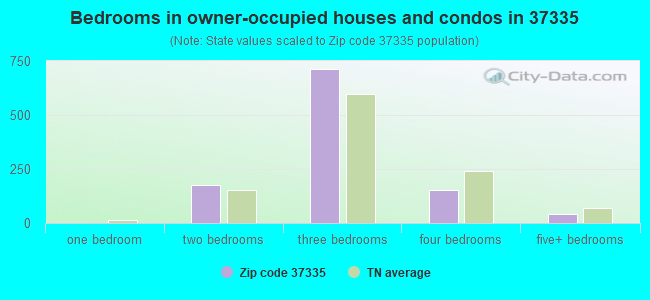 Bedrooms in owner-occupied houses and condos in 37335 