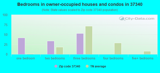 Bedrooms in owner-occupied houses and condos in 37340 