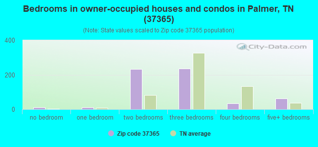 Bedrooms in owner-occupied houses and condos in Palmer, TN (37365) 