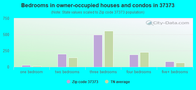 Bedrooms in owner-occupied houses and condos in 37373 