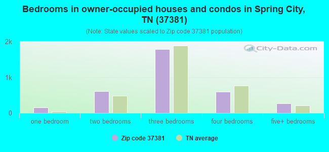 Bedrooms in owner-occupied houses and condos in Spring City, TN (37381) 