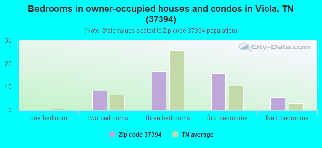 Bedrooms in owner-occupied houses and condos in Viola, TN (37394) 