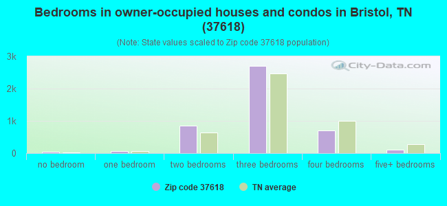 Bedrooms in owner-occupied houses and condos in Bristol, TN (37618) 