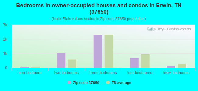 Bedrooms in owner-occupied houses and condos in Erwin, TN (37650) 