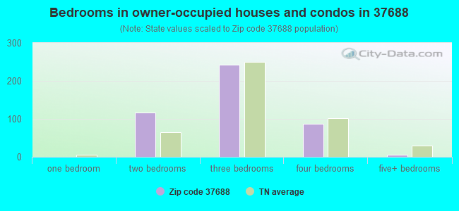 Bedrooms in owner-occupied houses and condos in 37688 