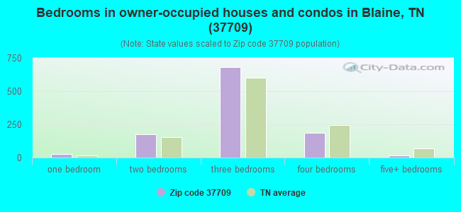 Bedrooms in owner-occupied houses and condos in Blaine, TN (37709) 