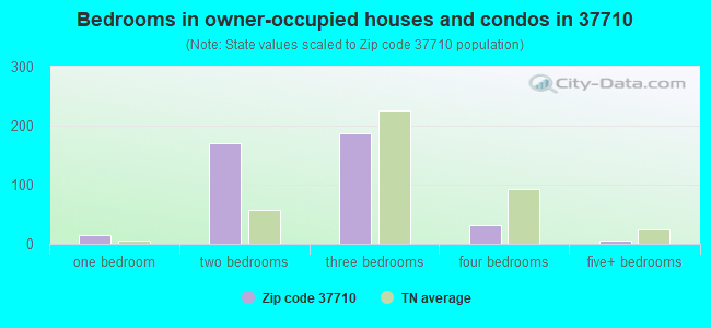 Bedrooms in owner-occupied houses and condos in 37710 