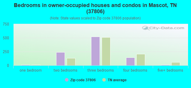 Bedrooms in owner-occupied houses and condos in Mascot, TN (37806) 