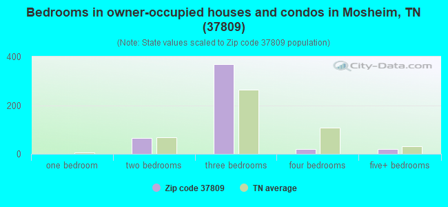 Bedrooms in owner-occupied houses and condos in Mosheim, TN (37809) 