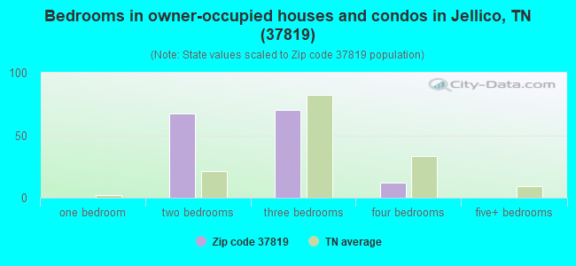 Bedrooms in owner-occupied houses and condos in Jellico, TN (37819) 