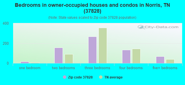 Bedrooms in owner-occupied houses and condos in Norris, TN (37828) 