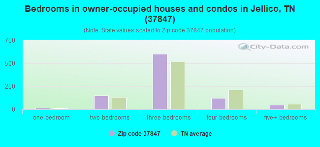 Bedrooms in owner-occupied houses and condos in Jellico, TN (37847) 