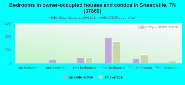 Bedrooms in owner-occupied houses and condos in Sneedville, TN (37869) 
