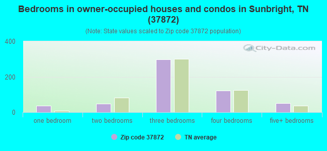 Bedrooms in owner-occupied houses and condos in Sunbright, TN (37872) 