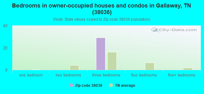 Bedrooms in owner-occupied houses and condos in Gallaway, TN (38036) 