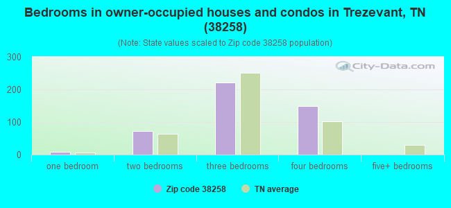 Bedrooms in owner-occupied houses and condos in Trezevant, TN (38258) 