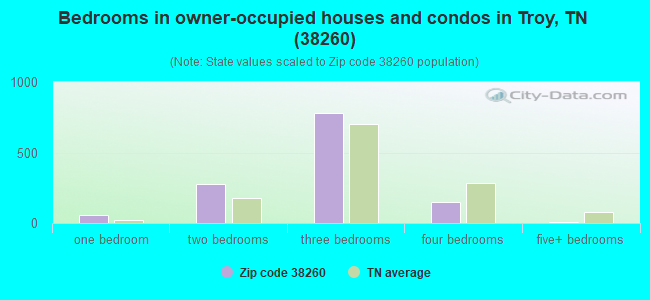 Bedrooms in owner-occupied houses and condos in Troy, TN (38260) 