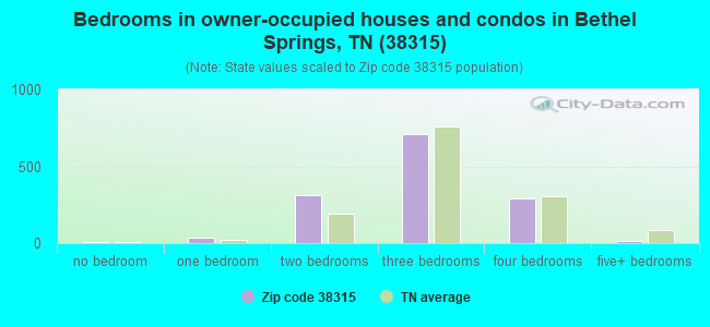 Bedrooms in owner-occupied houses and condos in Bethel Springs, TN (38315) 