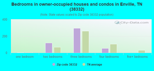 Bedrooms in owner-occupied houses and condos in Enville, TN (38332) 