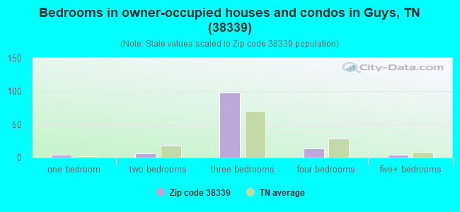 Bedrooms in owner-occupied houses and condos in Guys, TN (38339) 