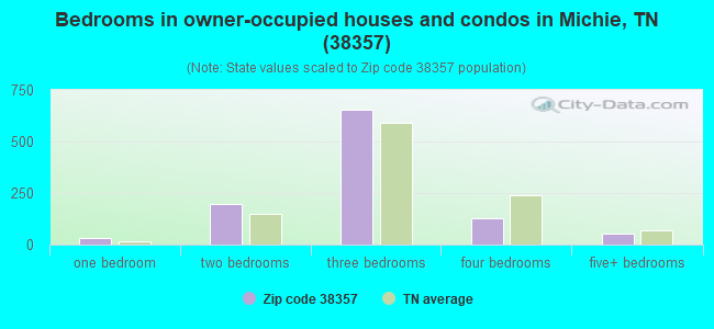 Bedrooms in owner-occupied houses and condos in Michie, TN (38357) 