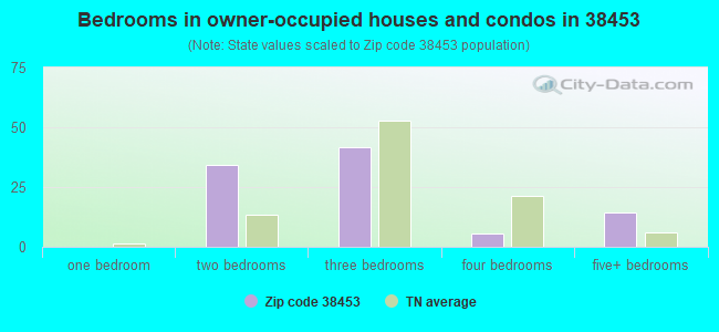 Bedrooms in owner-occupied houses and condos in 38453 