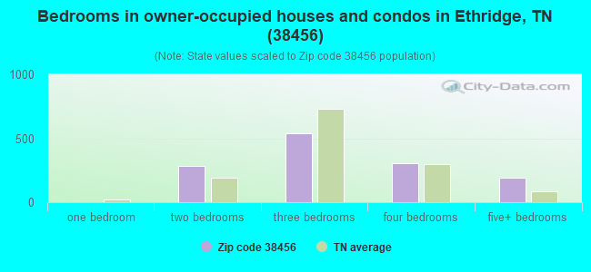 Bedrooms in owner-occupied houses and condos in Ethridge, TN (38456) 
