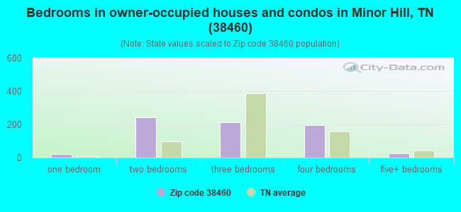 Bedrooms in owner-occupied houses and condos in Minor Hill, TN (38460) 