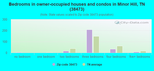 Bedrooms in owner-occupied houses and condos in Minor Hill, TN (38473) 