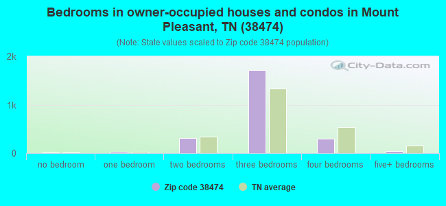 Bedrooms in owner-occupied houses and condos in Mount Pleasant, TN (38474) 