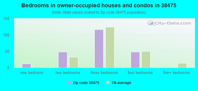 Bedrooms in owner-occupied houses and condos in 38475 