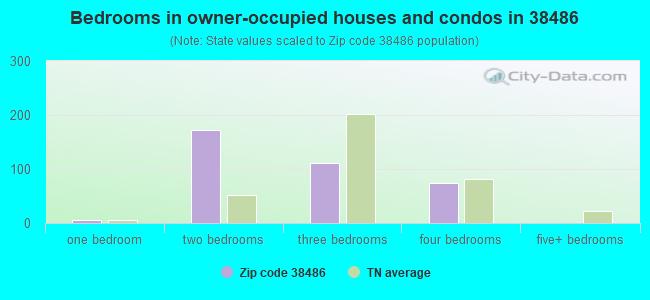 Bedrooms in owner-occupied houses and condos in 38486 