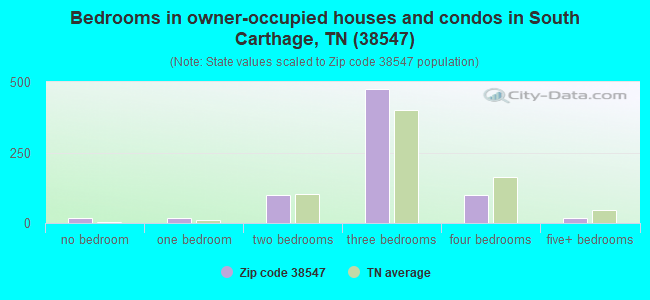 Bedrooms in owner-occupied houses and condos in South Carthage, TN (38547) 