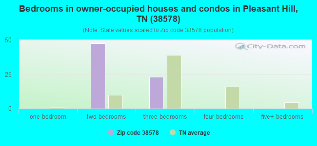 Bedrooms in owner-occupied houses and condos in Pleasant Hill, TN (38578) 