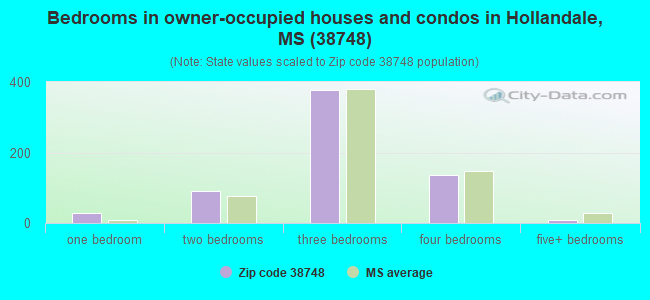 Bedrooms in owner-occupied houses and condos in Hollandale, MS (38748) 