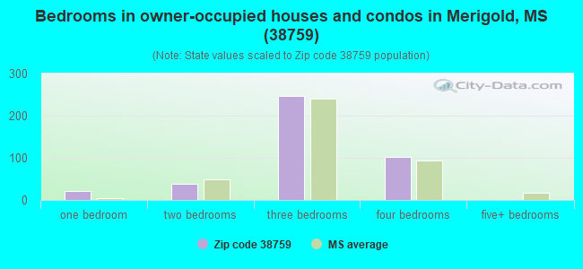 Bedrooms in owner-occupied houses and condos in Merigold, MS (38759) 