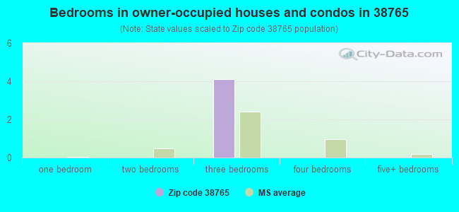 Bedrooms in owner-occupied houses and condos in 38765 