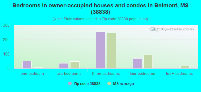 Bedrooms in owner-occupied houses and condos in Belmont, MS (38838) 