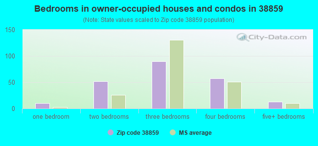 Bedrooms in owner-occupied houses and condos in 38859 