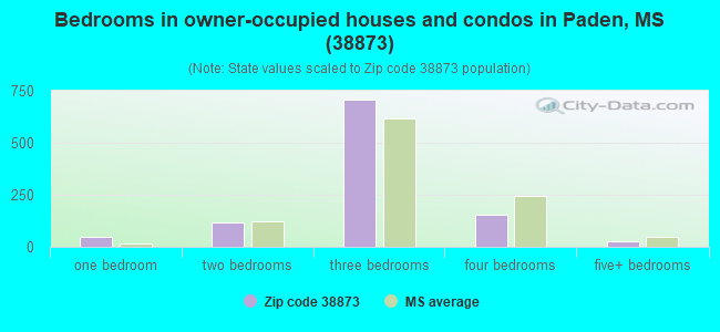 Bedrooms in owner-occupied houses and condos in Paden, MS (38873) 