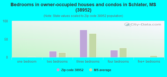 Bedrooms in owner-occupied houses and condos in Schlater, MS (38952) 