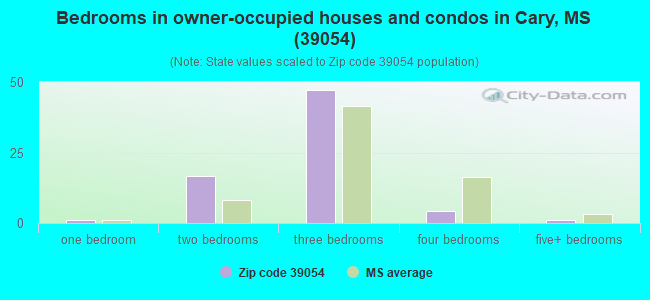 Bedrooms in owner-occupied houses and condos in Cary, MS (39054) 
