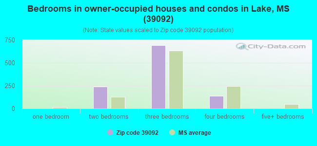 Bedrooms in owner-occupied houses and condos in Lake, MS (39092) 