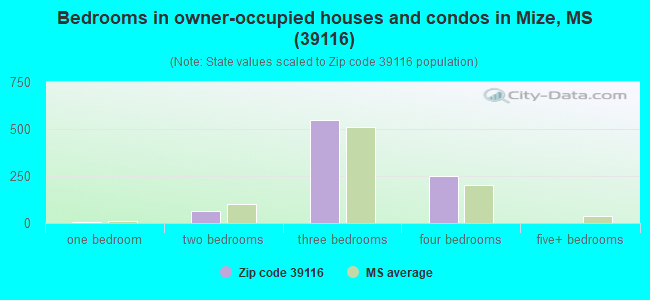 Bedrooms in owner-occupied houses and condos in Mize, MS (39116) 
