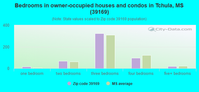 Bedrooms in owner-occupied houses and condos in Tchula, MS (39169) 