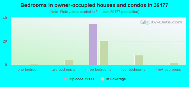 Bedrooms in owner-occupied houses and condos in 39177 