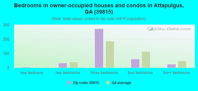 Bedrooms in owner-occupied houses and condos in Attapulgus, GA (39815) 