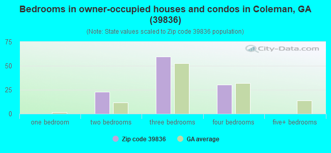 Bedrooms in owner-occupied houses and condos in Coleman, GA (39836) 
